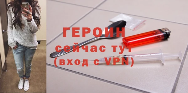 гашик Алексин