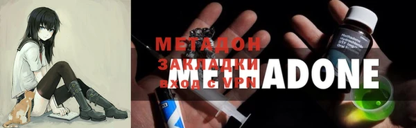 гашик Алексин