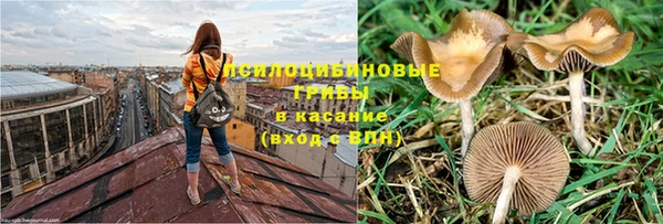 MESCALINE Алзамай