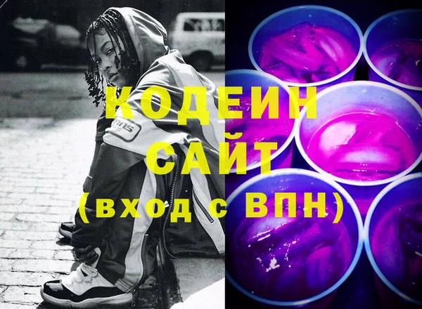 гашик Алексин