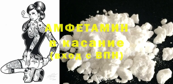 гашик Алексин
