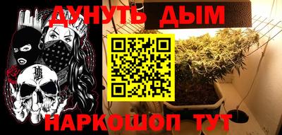 мдпв Майкоп