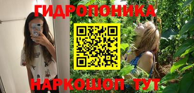 ГАЛЛЮЦИНОГЕННЫЕ ГРИБЫ Нальчик